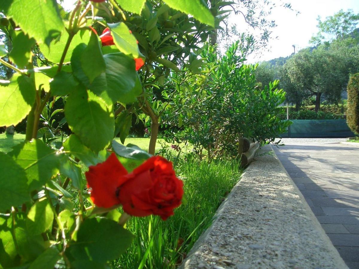 Hotel Villa Verde Torbole Sul Garda ภายนอก รูปภาพ